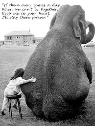 Elephant quote on fitness