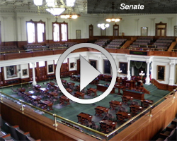 senate-video-pic