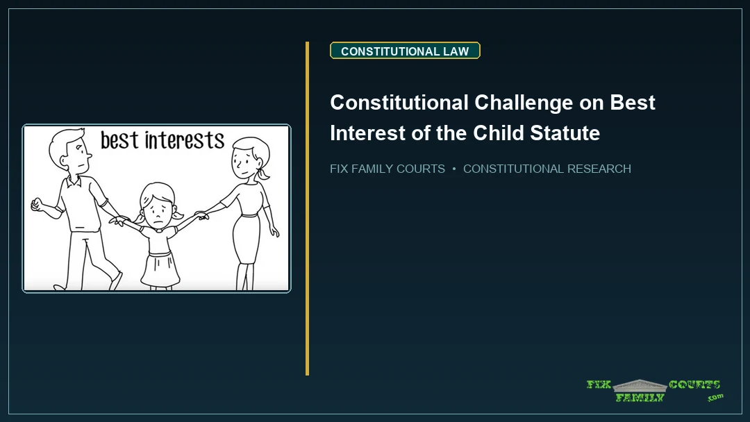 Constitutional Challenge on Best Interest of the Child Statute