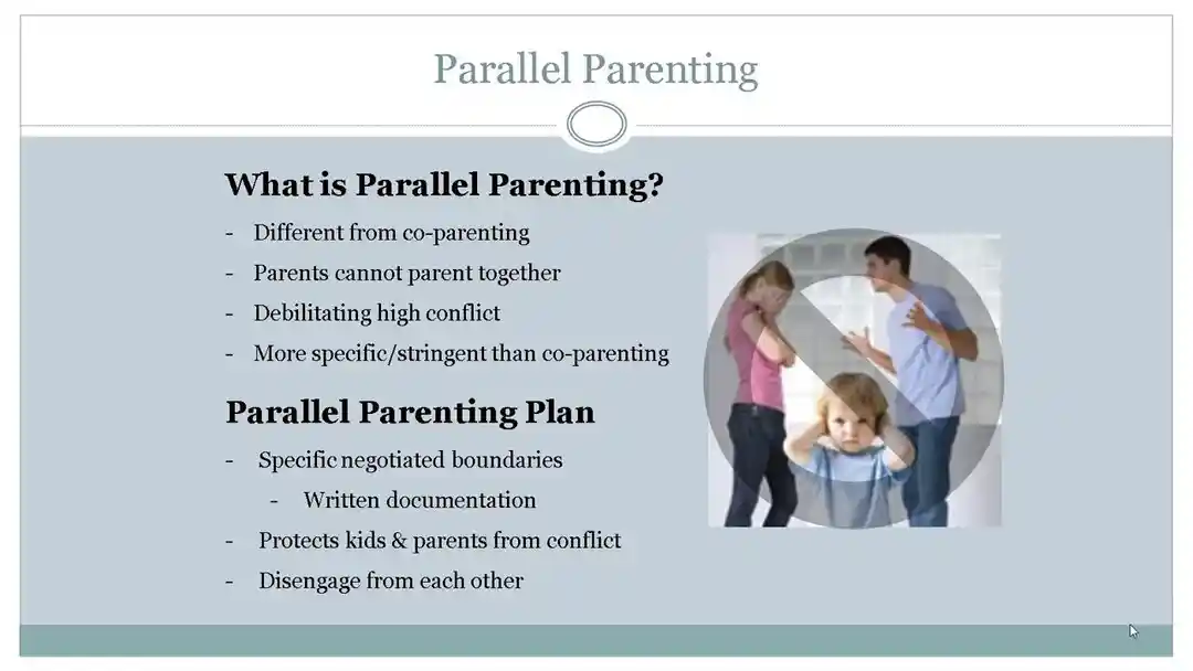 Co-Parenting Alternative for High-Conflict Relationships